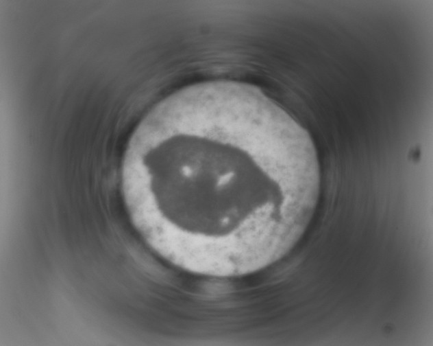 X0000115190085200911251429