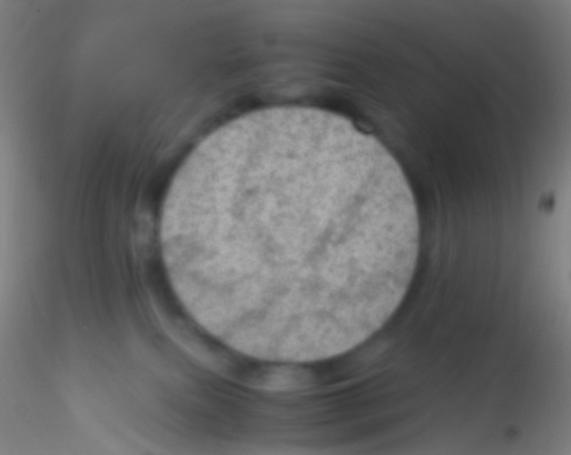 X0000115190087200911251429