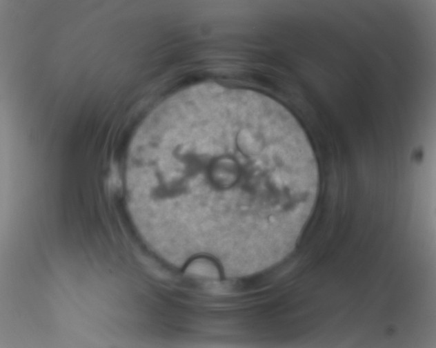 X0000115190089200911251429