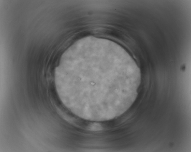 X0000115190091200911251429