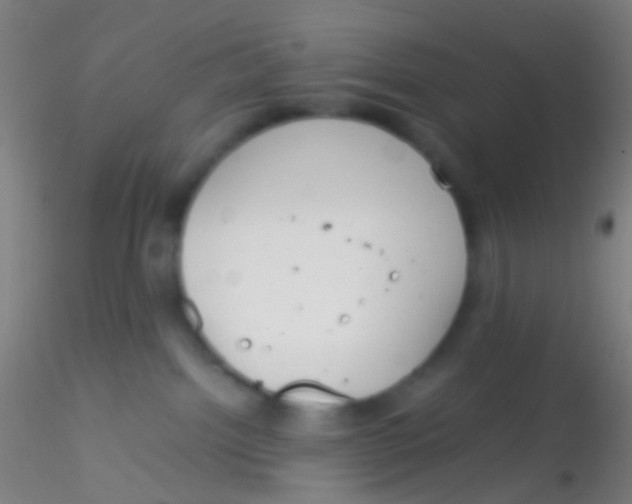 X0000115190092200911251429