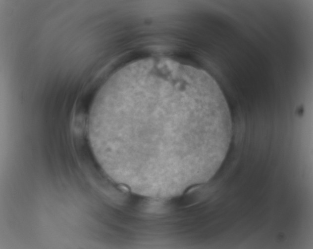 X0000115190093200911251429