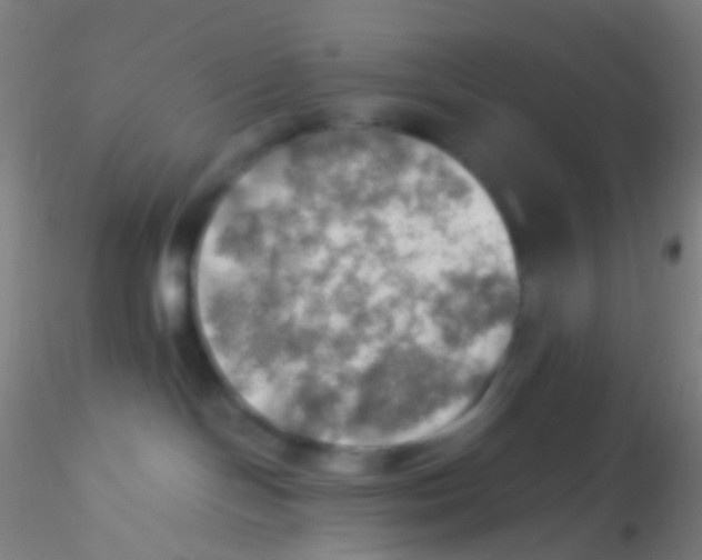 X0000115190094200911251429