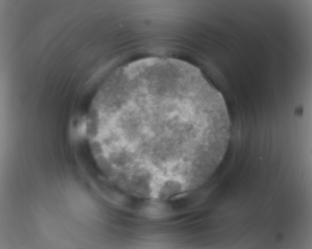 X0000115190095200911251429