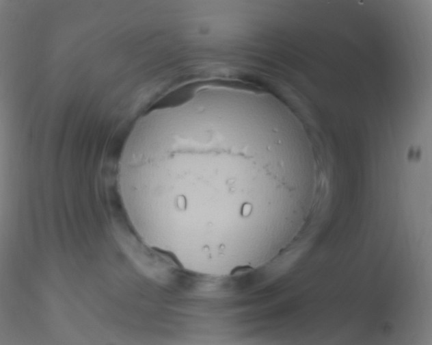 X0000115190096200911251429