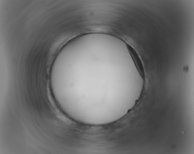 X0000115190097200911251428