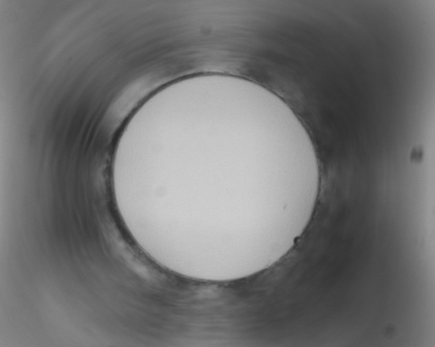 X0000115190098200911251428