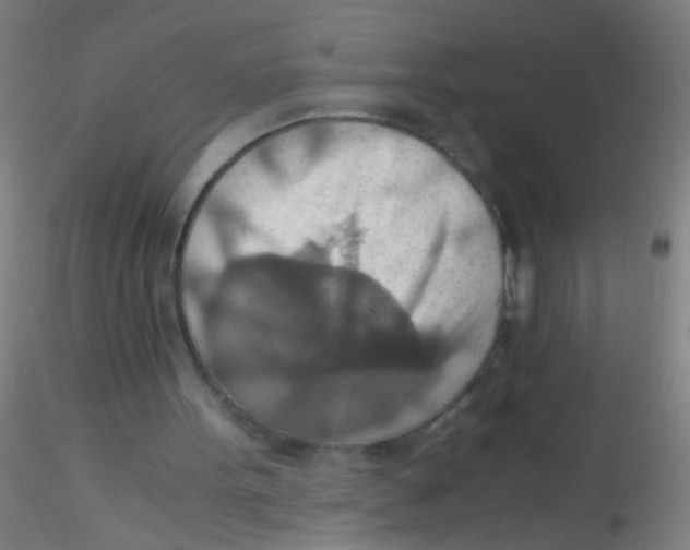 X0000115190099200911251428