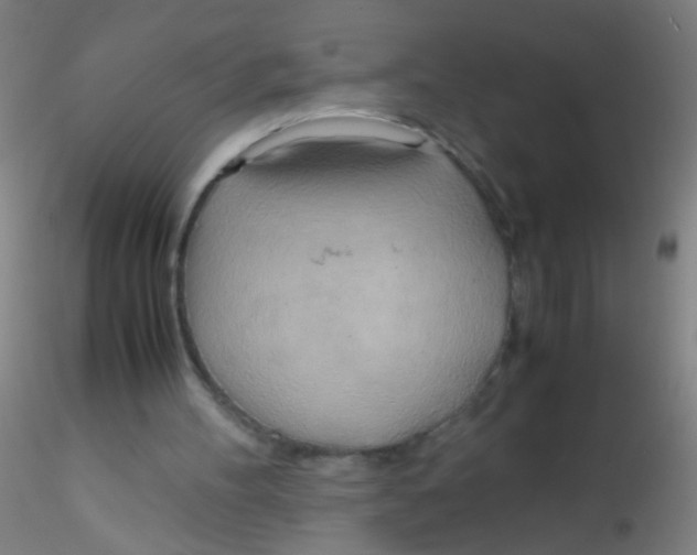 X0000115190100200911251428