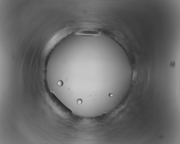 X0000115190101200911251428