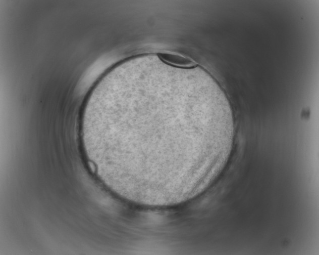 X0000115190103200911251428