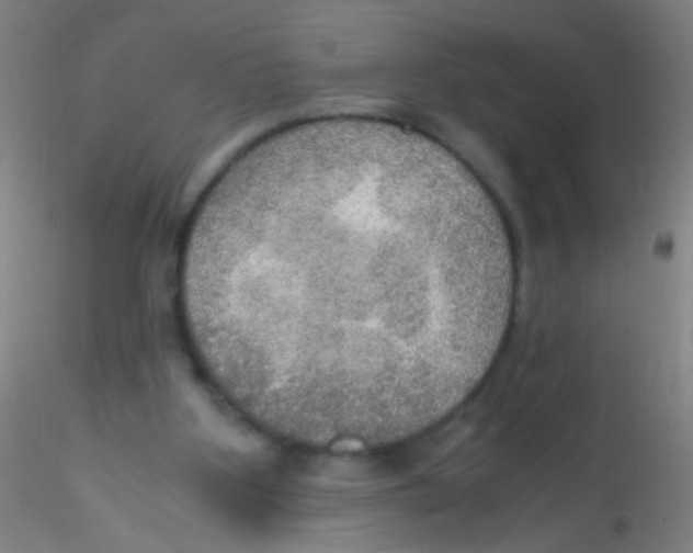 X0000115190107200911251428