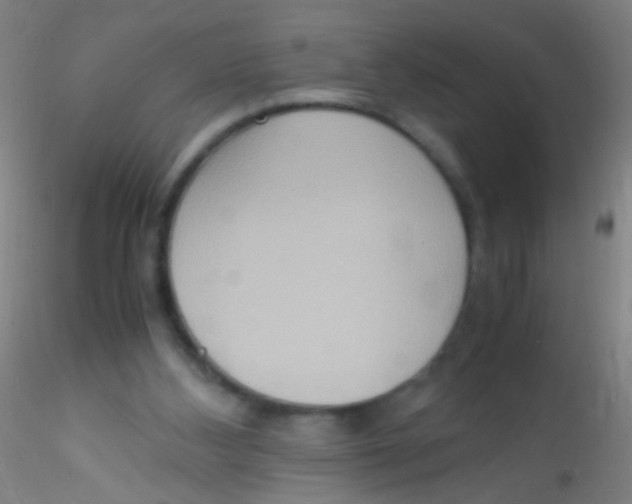 X0000115190108200911251428