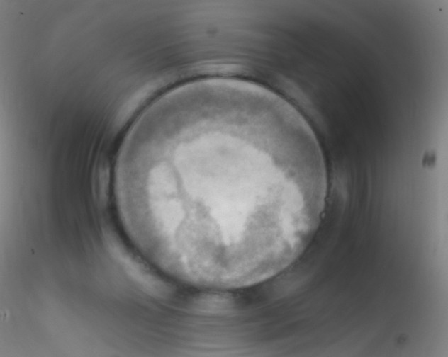 X0000115190110200911251428