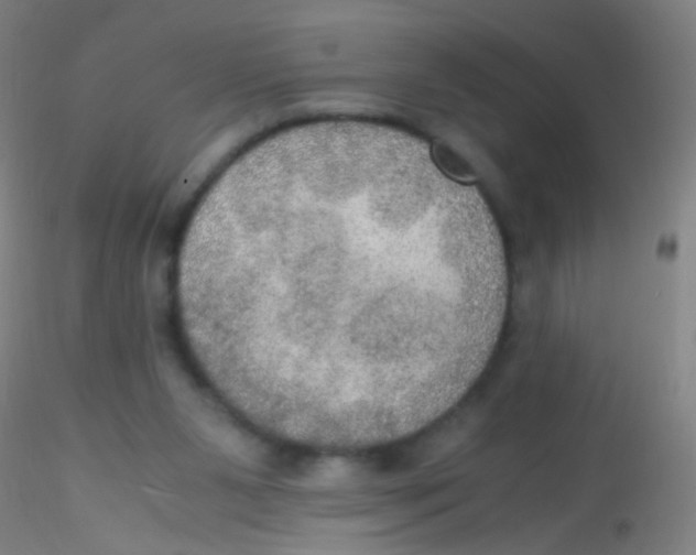 X0000115190111200911251428