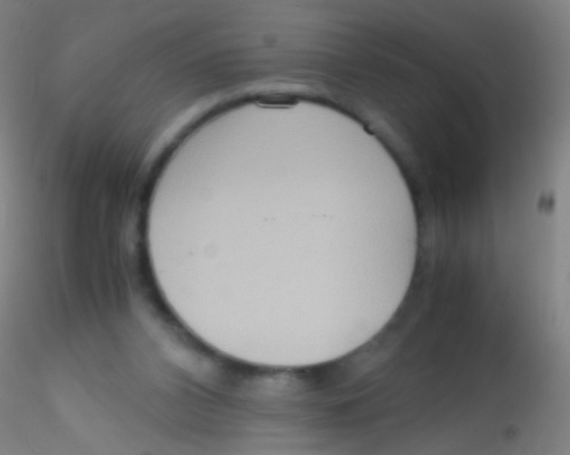 X0000115190112200911251428