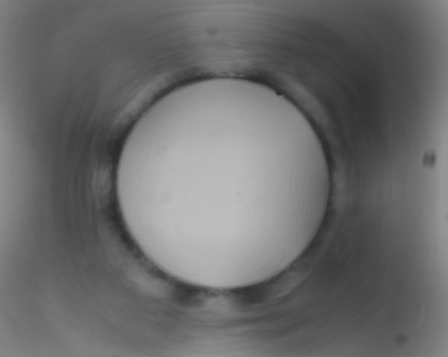 X0000115190113200911251428