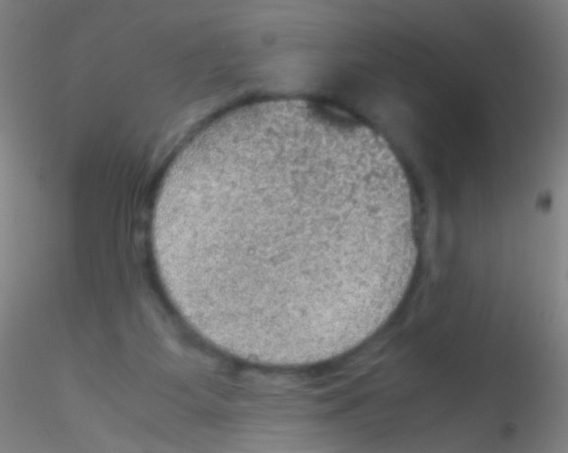 X0000115190115200911251428