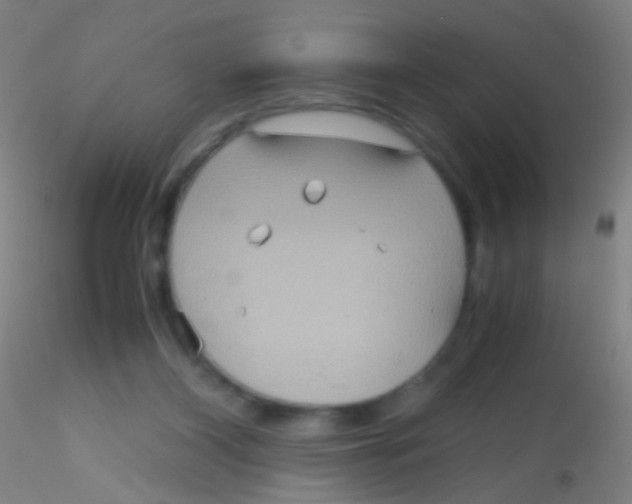 X0000115190116200911251428