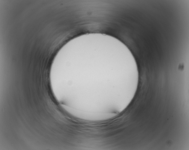 X0000115190117200911251428