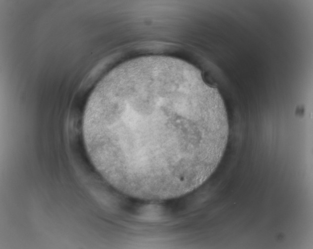 X0000115190119200911251428