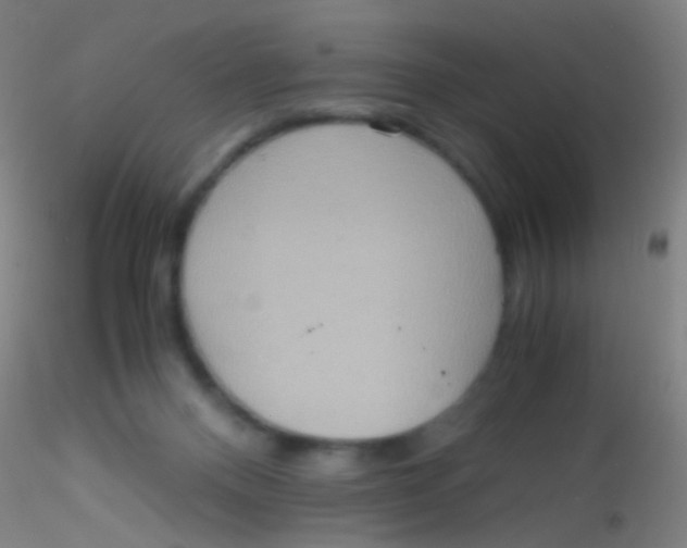 X0000115190120200911251428