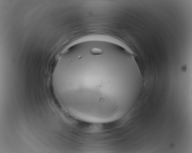 X0000115190124200911251428