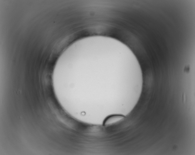 X0000115190126200911251428