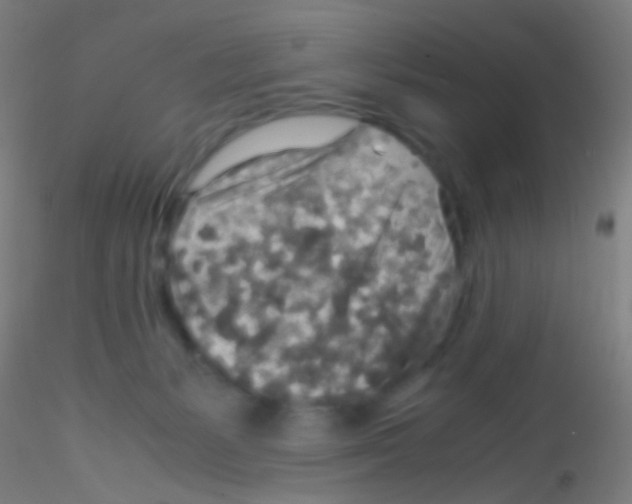 X0000115190127200911251428