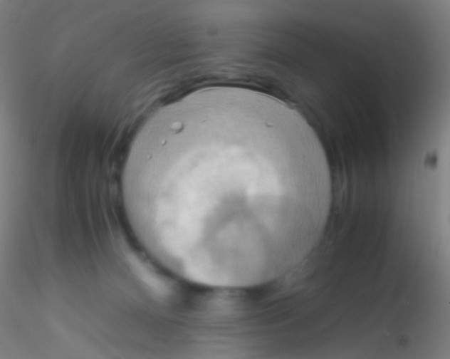 X0000115190128200911251428