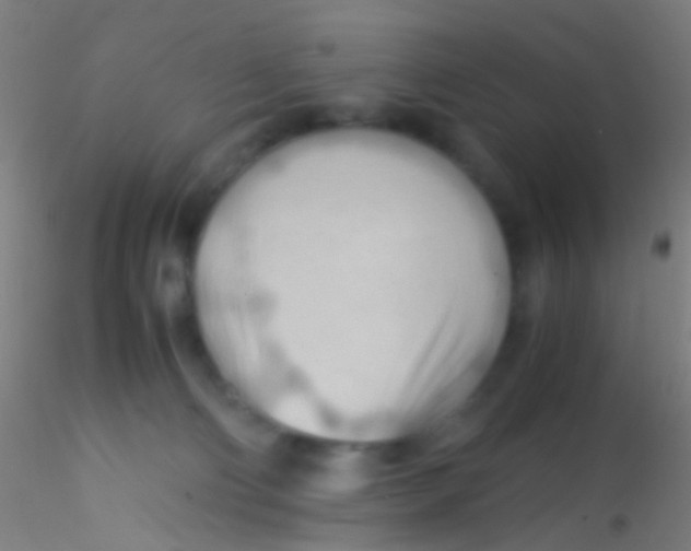 X0000115190130200911251428