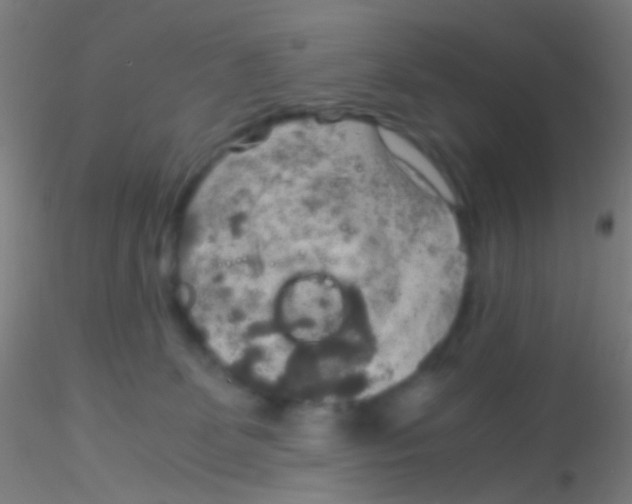 X0000115190131200911251428