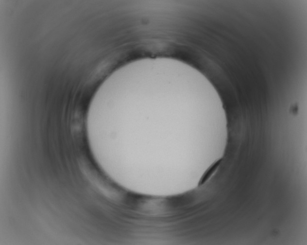 X0000115190132200911251428