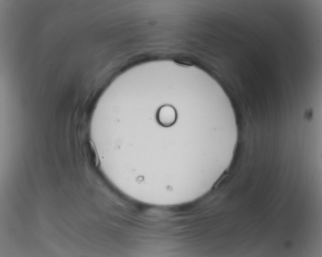 X0000115190133200911251428