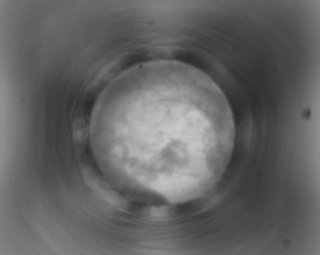 X0000115190134200911251428