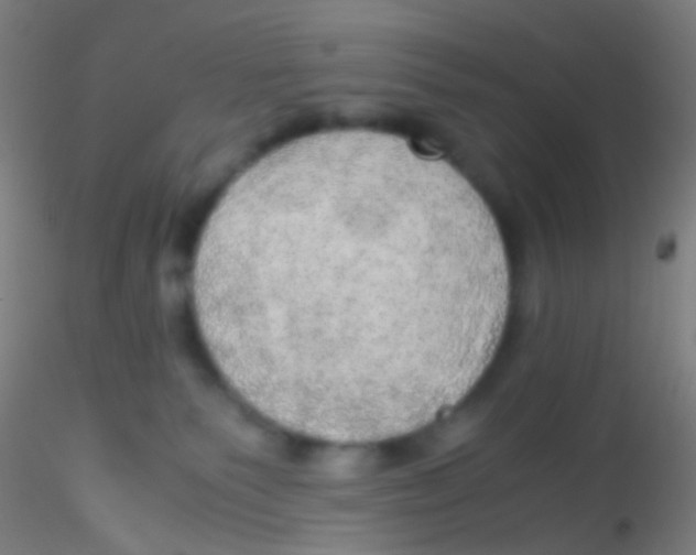 X0000115190135200911251428