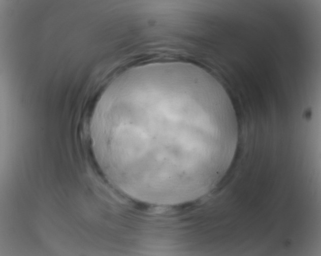 X0000115190137200911251428