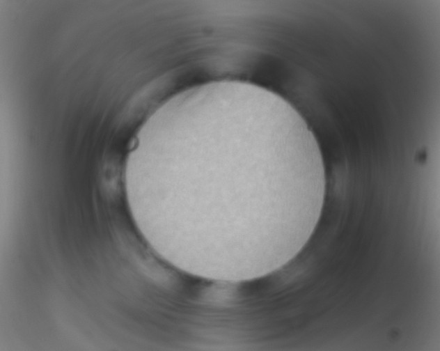 X0000115190138200911251428