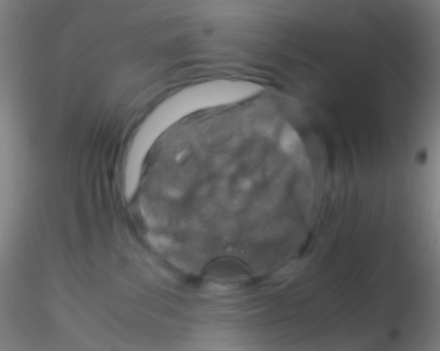 X0000115190139200911251428