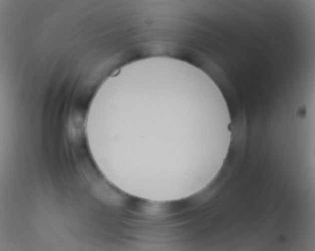 X0000115190142200911251428