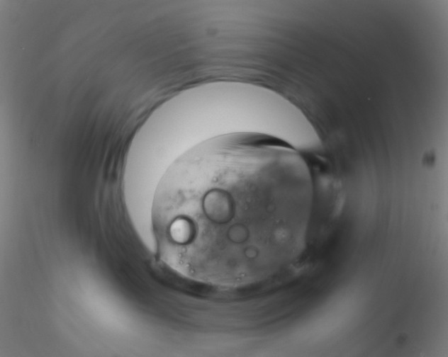 X0000115190143200911251428