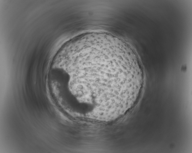 X0000115190145200911251427