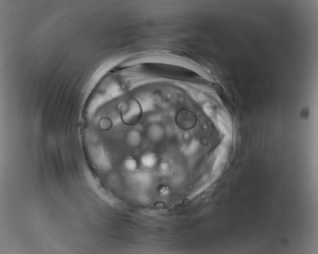 X0000115190147200911251427