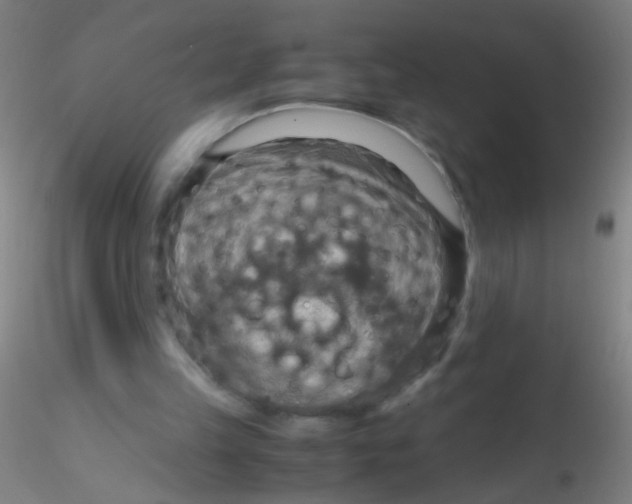 X0000115190149200911251427