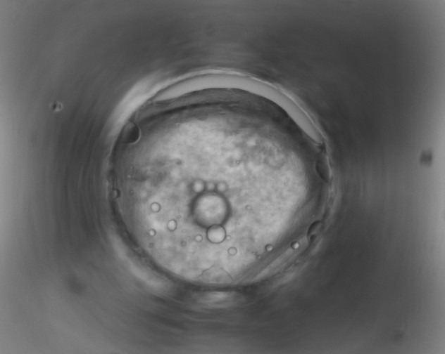 X0000115190151200911251427