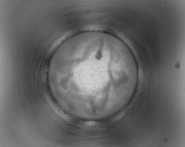 X0000115190153200911251427