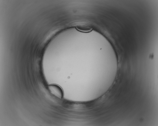 X0000115190154200911251427