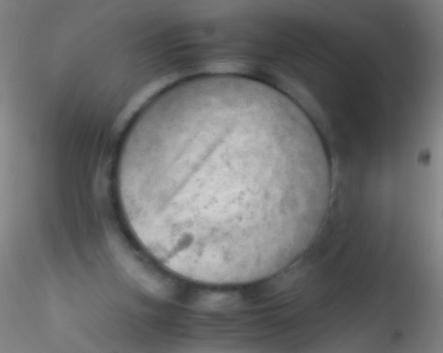 X0000115190155200911251427