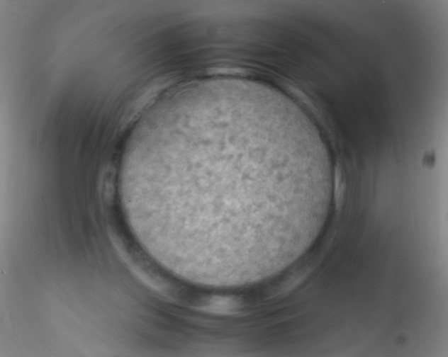 X0000115190157200911251427