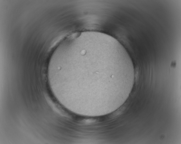 X0000115190158200911251427